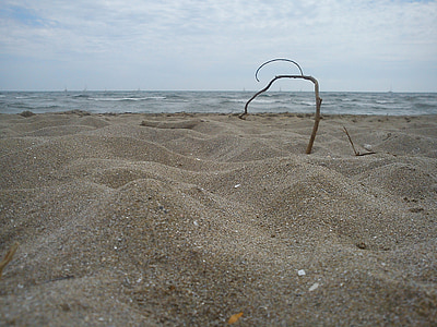pláž, větev, písek, Já?, Drift dřevo, suché, kohoutku