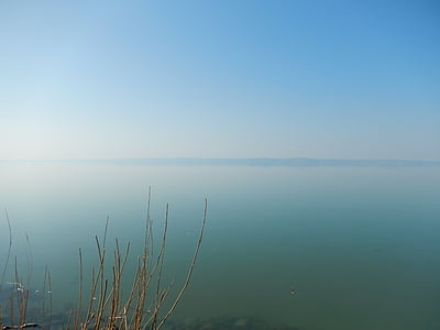 Lago balaton, Lago, naturaleza, paisaje