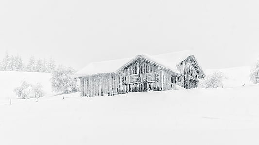 Stuga, kalla, hus, snö, snötäckta, vinter, landsbygdens scen