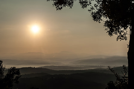 Toskāna, Itālija, saullēkts, no rīta, saule, meža, koki