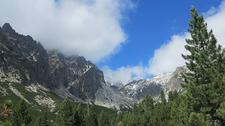 Tatras, kalni, skujas, kalns, daba, Eiropas Alpi, ārpus telpām