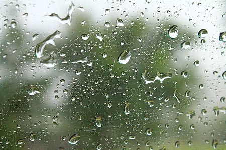 släpp, regn, glas, vatten, Regndroppar, regnigt, fönsterplats