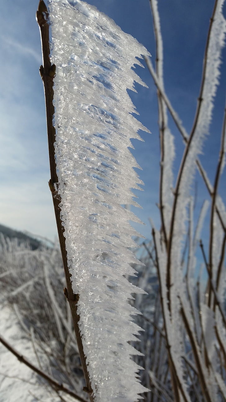 icicle, winter, frozen, cold, icy, ice, sauerland