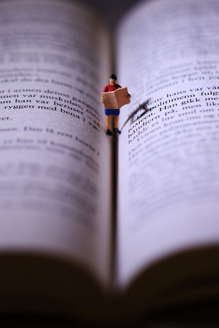 llibre, en miniatura, lectura