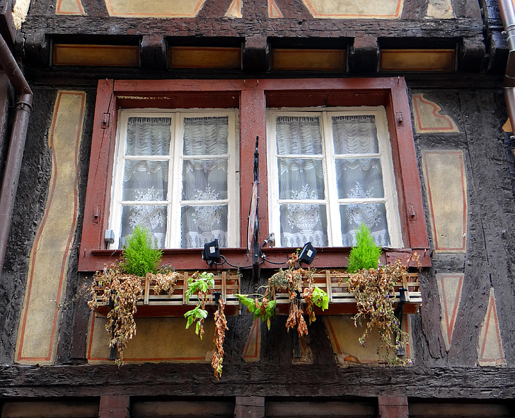 ventana, truss, mórbida, flores, casco antiguo, antiguo, Inicio