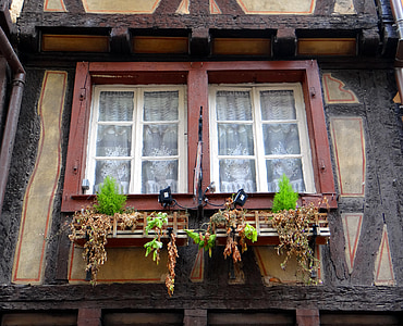 fenêtre de, poutrelle, morbide, fleurs, vieille ville, vieux, Page d’accueil