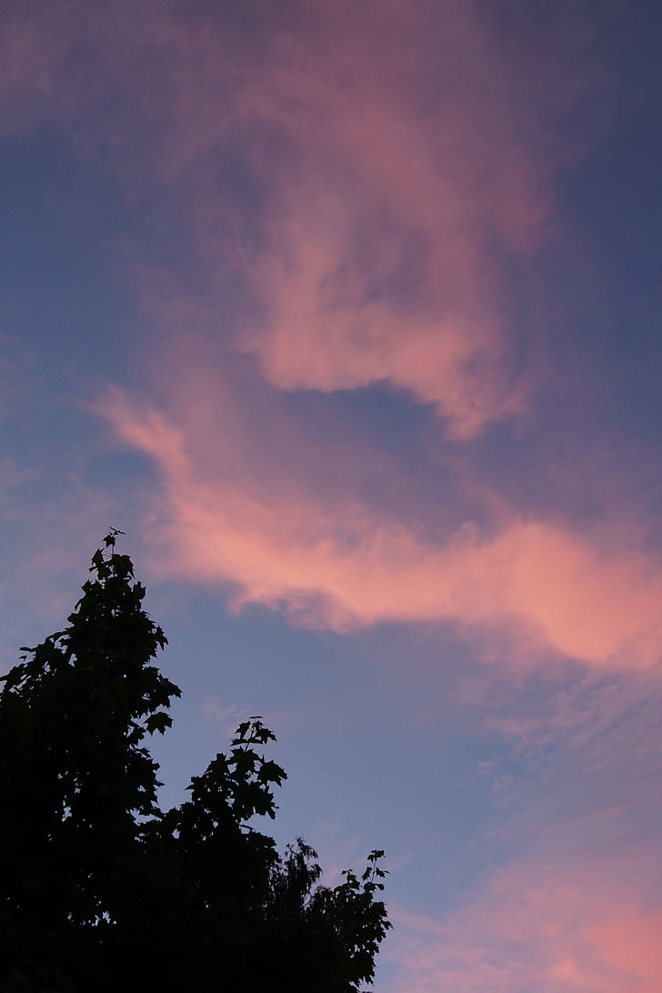 облаци през вечерта, Зарево, червеникаво облаци, силует, небе, облак