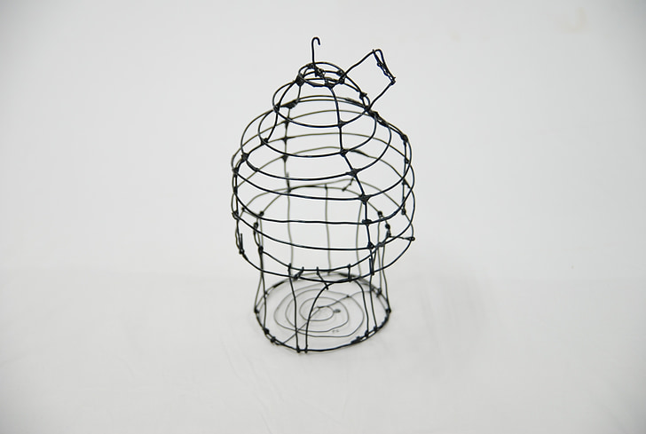 bird cage, art, molding, box, wire