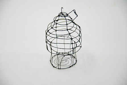 jaula de pájaro, arte, moldeo por, caja, alambre