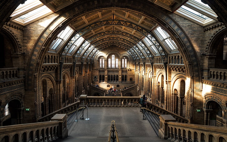 Museu, Londres, história natural, história, arquitetura, Inglaterra, Reino Unido