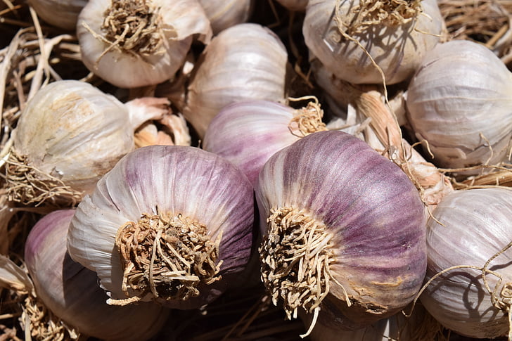 garlic, heads of garlic, food, eat, spice, tuber, sharp