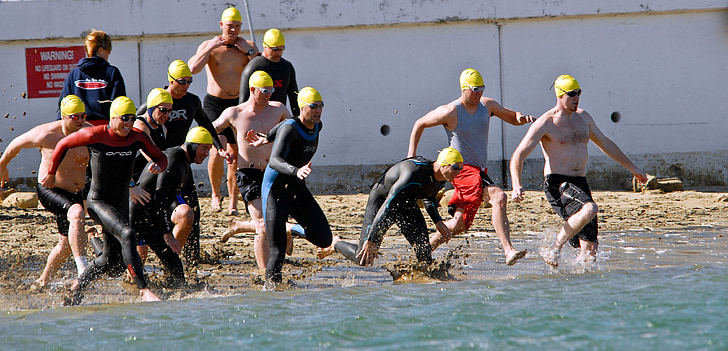 swimmers, race, start, competition, fitness, exercise, people