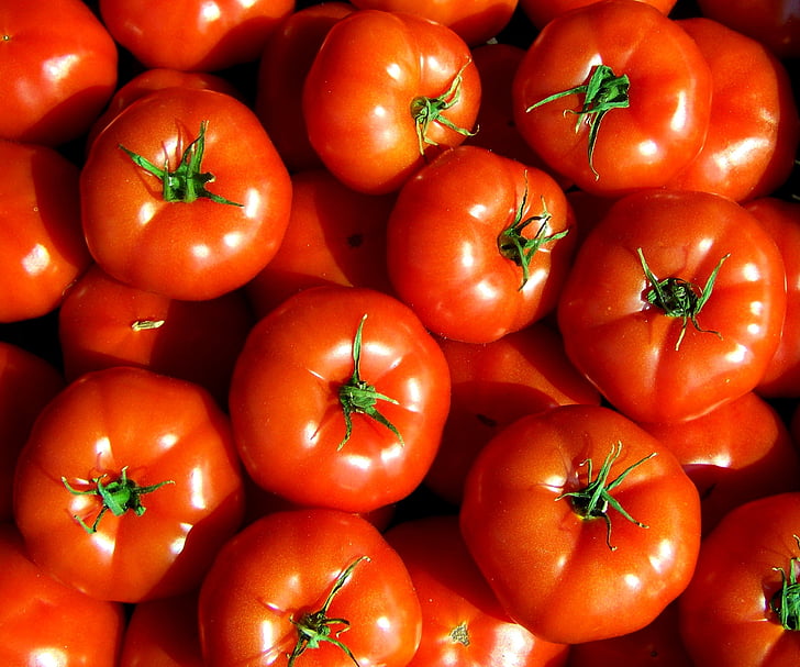 tomatid, punane, köögiviljad, toidu