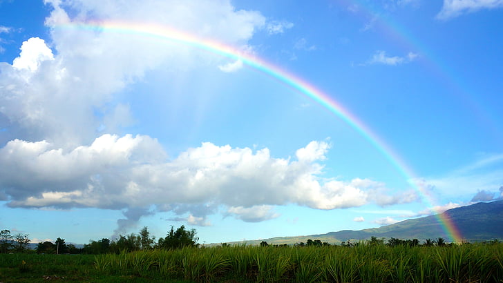 niebo, Rainbow, chmury, tęczy niebo, niebieski, Natura, Kolor