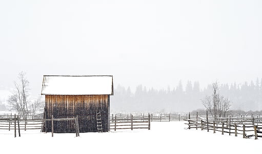 black, brown, outdoor, shed, snow, winter, cabin