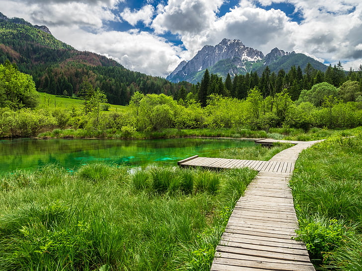 zelenci, Slovēnija, kalni, ezers, daba, ainava, koki