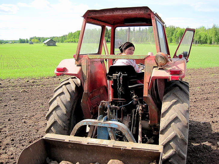 traktor, Gadis, musim panas, anak, bidang, hijau, Laki-laki
