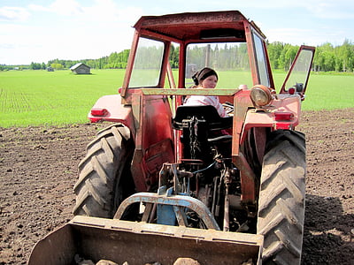 traktor, Flicka, sommar, barn, fältet, grön, mannen