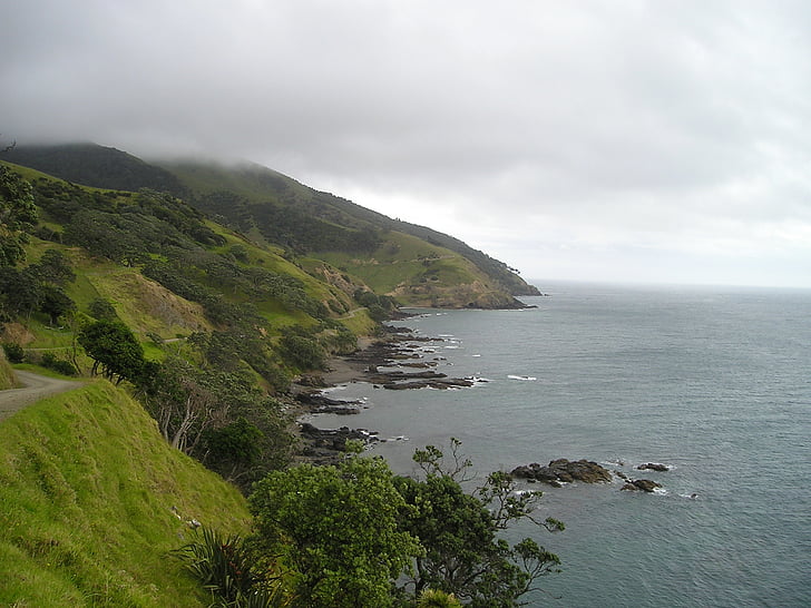 Selandia Baru, Pantai, hijau, pemandangan, Pulau Utara
