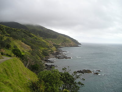Nouvelle-Zélande, Côte, vert, paysage, Île du Nord