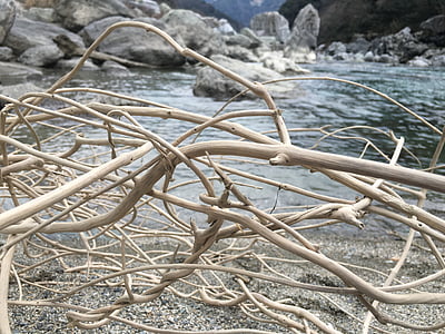 driftwood, แม่น้ำ, ท้องแห้ง, พูดจ้อไม่หยุด, ไม้, การไหลของแม่น้ำ