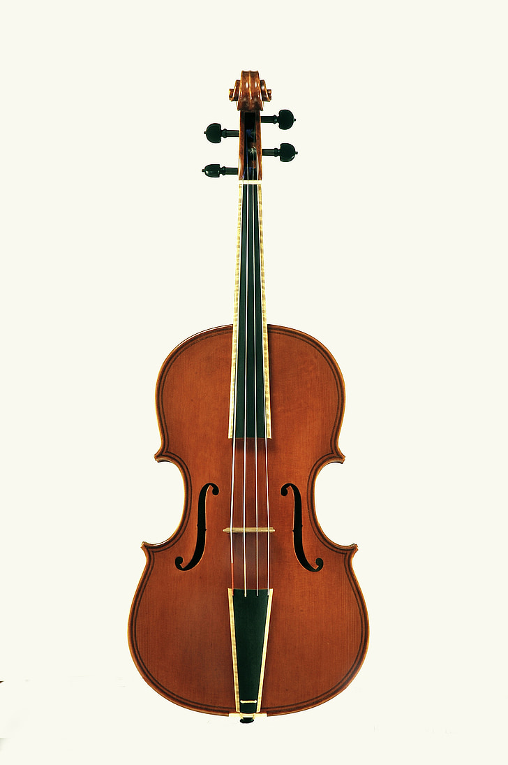 violin, stringed instruments