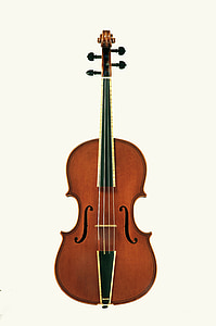 Geige, Saiteninstrumente