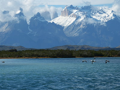 Torres del paine, Patagonië, Chili, Zuid-Amerika, landschap, Bergen, nationaal park