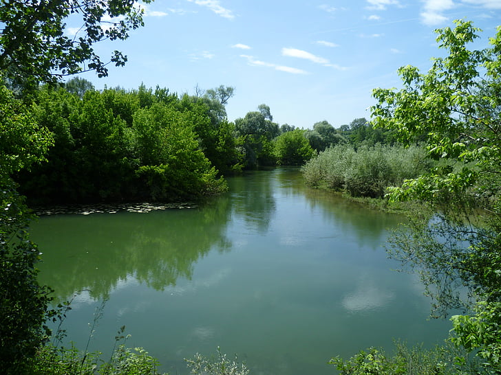 priroda, šuma, vode, zelena, Rijeka, u Burgundiji