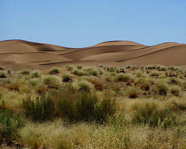 Landschaft, Afrika, Wüste