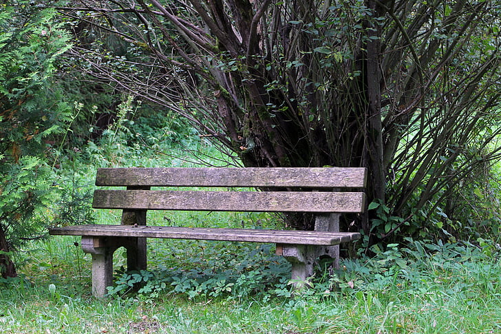 bench, bank, seat, nature, out, sit, click