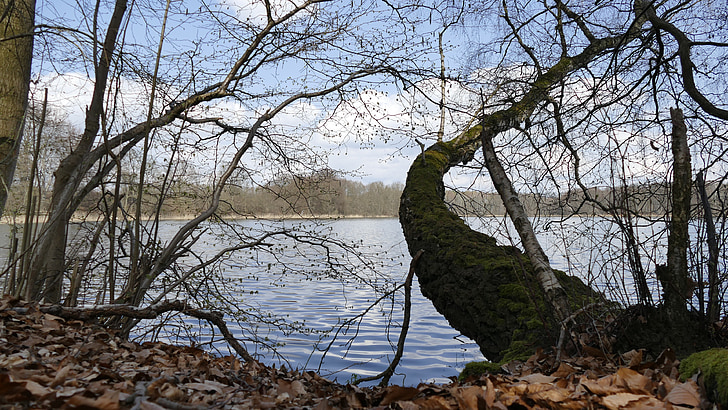 natura, l'aigua, Llac, paisatge