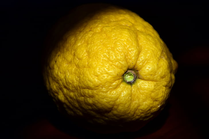 citron, Jasmín slaměnka neroli, zdravé, vitamíny, ovoce, Frisch, žlutá