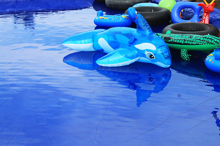delfīni, rotaļlietas, zils ūdens, zivis, bērnu spēles