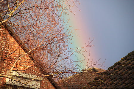 arco iris, brillante, contrastes, espectro de, tiempo en, natuschauspiel, colores del arco iris