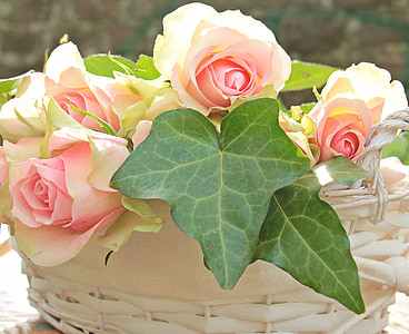 roses, noble roses, basket, flowers, pink, pink roses, pink precious roden