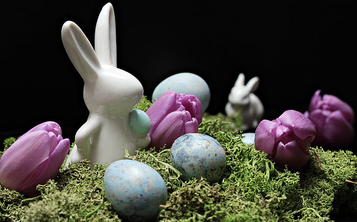 hare, easter bunny, easter, spring, figure, tulips, purple