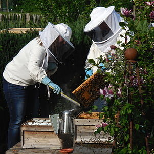 jardin, Hobby, printemps, été, Frühlingsanfang, mai, apiculteur