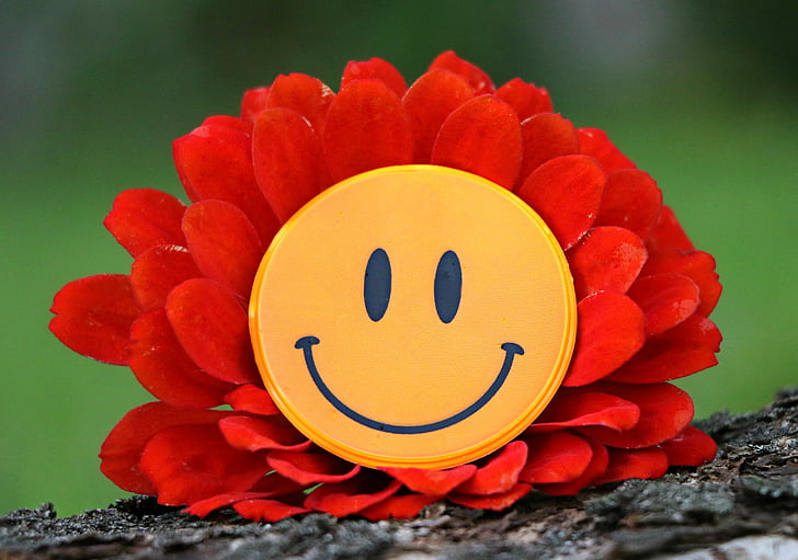 smile, joy, flower, laughter, mood, happiness, delight