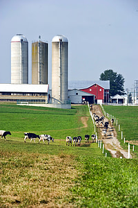 Ohio, Farm, landdistrikter, Sky, skyer, felter, landskab