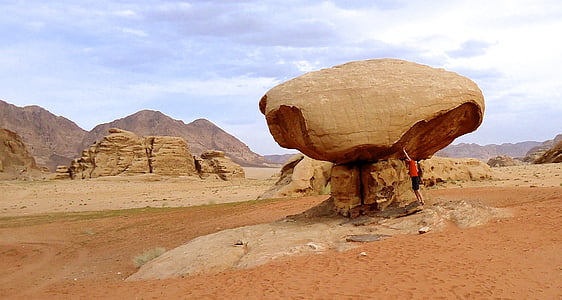 蘑菇, 沙漠, 约旦