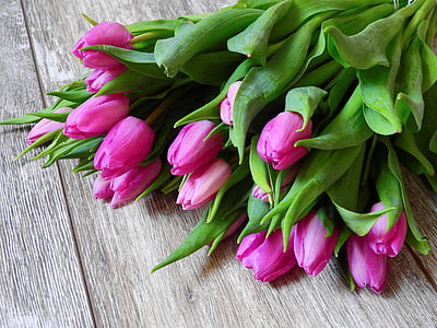 flower, tulips, blossom, bloom, bouquet, birthday, congratulate