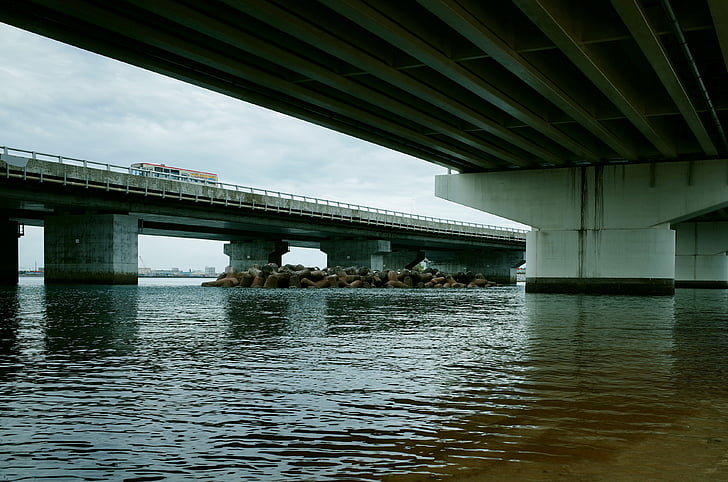 Jembatan, Buka, Okinawa, air, laut