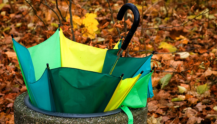 paraply, disponibel, defekt, høst, grønn-gul, gyldne høsten, blader