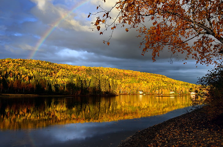 rainbow, landscape, nature, fall, trees, mountain, sky