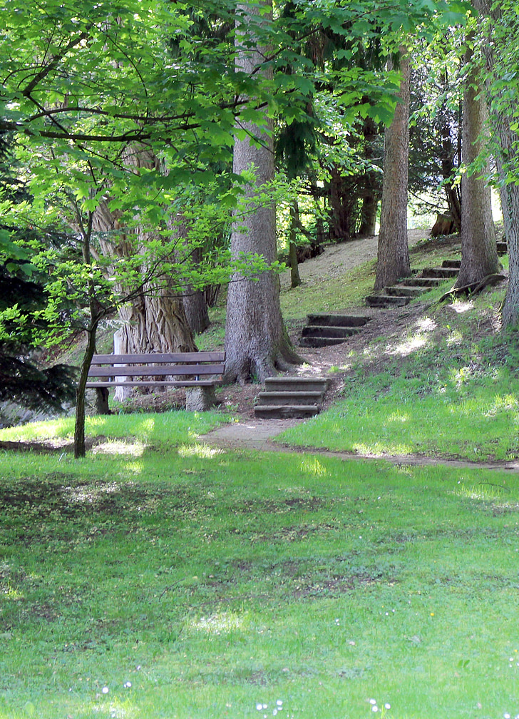 bank, bench, stairs, gradually, forest, nature, tree