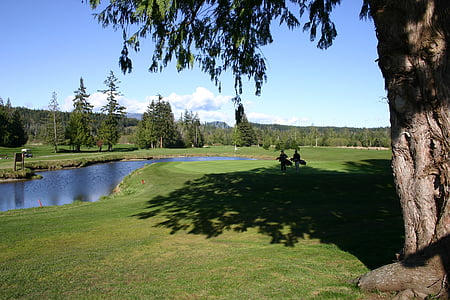 golf, nature, outdoors, course, grass, green, sport