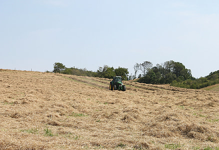traktor, arbeid, landbruk, Harvest, maskiner, kjøretøy, Sommer