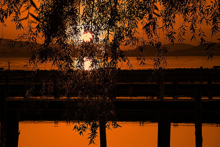 Lago balaton, tramonto, natura