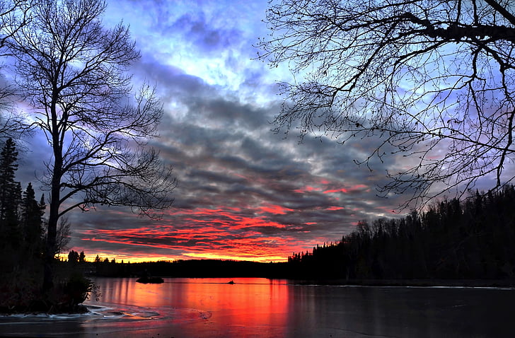 Twilight, zonsondergang, landschap, Lake, bomen, contrast, avond